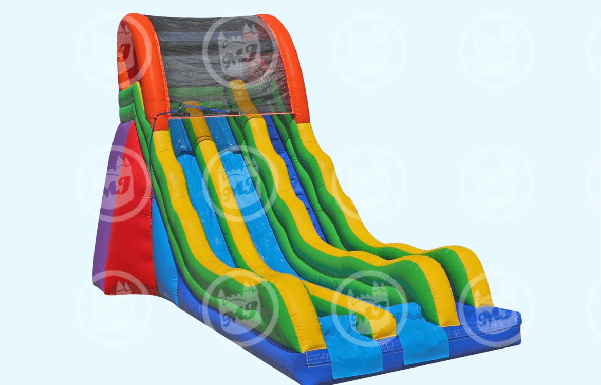 20ft Double Fun Slide